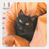 Schattige Zwarte Kat Vierkante Sticker (Voorkant)