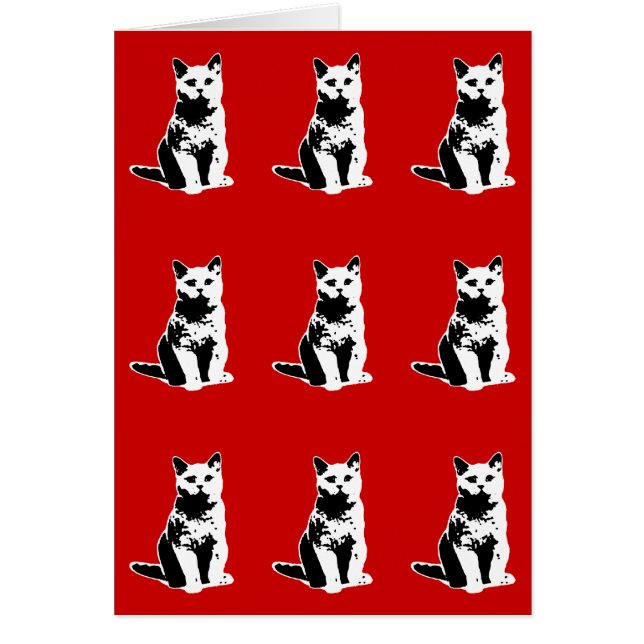 schattige zwarte katten (Voorkant)