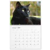 schattige zwarte katten kalender (Jan 2027)