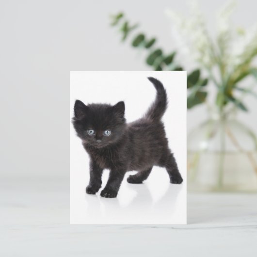 schattige zwarte kitten briefkaart (Staand voorkant)
