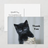 Schattige Zwarte Kitten Touw Foto Bedankt Briefkaart (Voorkant / Achterkant)