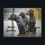 Schattige Zwarte Lab Kad Foto Verjaardag Briefkaart<br><div class="desc">Drie schattige zwarte Labrador Retrievers die op een steiger aan de rand van het water zitten.</div>