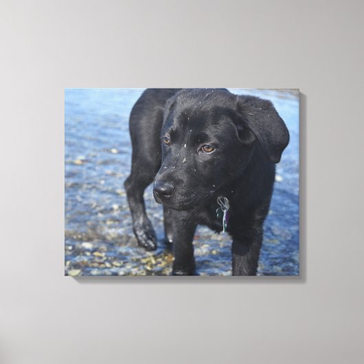 Schattige zwarte lab Puppy Dog Canvas Afdruk (Voorkant)