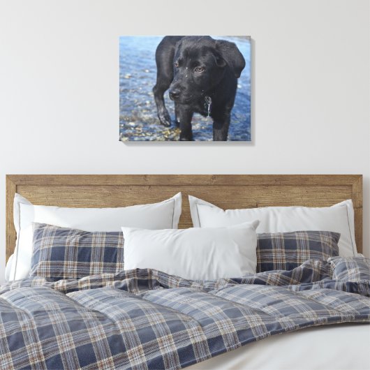 Schattige zwarte lab Puppy Dog Canvas Afdruk (Insitu (Slaapkamer))