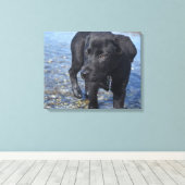 Schattige zwarte lab Puppy Dog Canvas Afdruk (Insitu (Houten vloer))