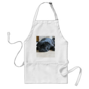 Schattige zwarte pug die slaapt standaard schort
