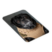 Schattige zwarte pug in een trui magneet (Rechterzijde)