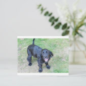 Schattige zwarte puppy briefkaart (Staand voorkant)