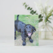 Schattige zwarte puppy briefkaart (Staand voorkant)