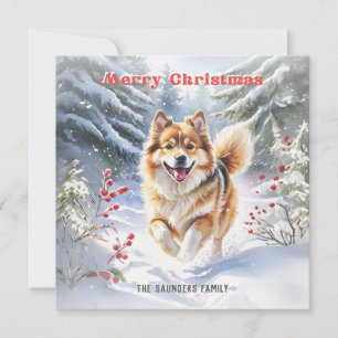 Schattige Zweedse Lapphund Honden Sneeuw Prettig K Feestdagenkaart