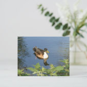 Schattige Zwemeend DIY Briefkaart (Staand voorkant)