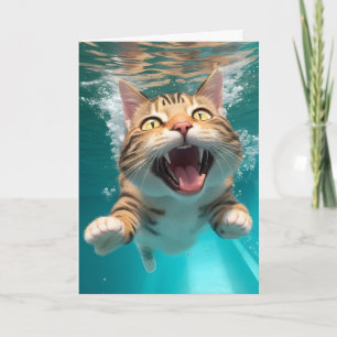 Schattige Zwemmende Kat Duikt Onderwater in Zwemba Kaart