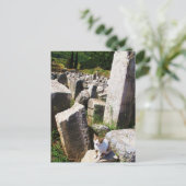 Schattige zwerfkat die leeft in de ruïnes van de E Briefkaart (Staand voorkant)