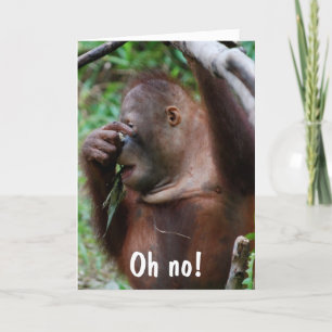 Schattigee 30e verjaardag Dierenfoto Kaart