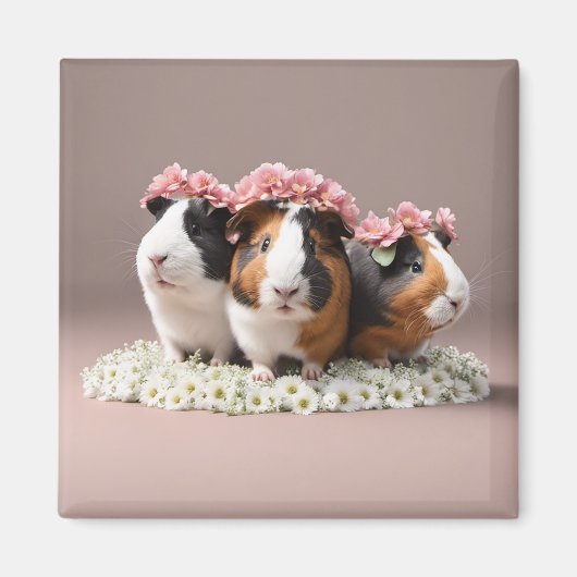 Schattigee 3D Boho Guinee Pigs Koelkastmagneet Magneet (Voorkant)
