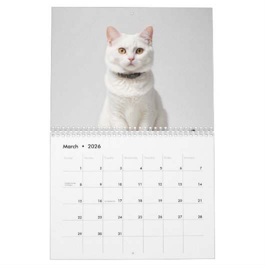 Schattigee aangepaste kattenfotofamilie kalender (Mar 2026)