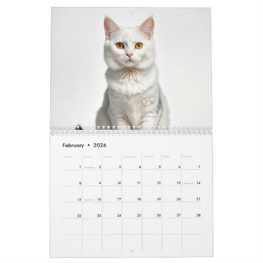 Schattigee aangepaste kattenfotofamilie kalender (Feb 2026)
