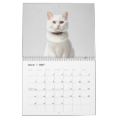 Schattigee aangepaste kattenfotofamilie kalender (Mar 2027)