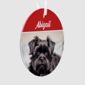 Schattigee Affenpinscher Hond Vakantie Kerstfoto Ornament (voorkant)
