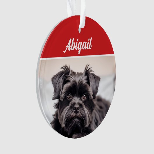 Schattigee Affenpinscher Hond Vakantie Kerstfoto Ornament (voorkant)