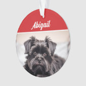 Schattigee Affenpinscher Hond Vakantie Kerstfoto Ornament (voorkant)