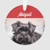Schattigee Affenpinscher Hond Vakantie Kerstfoto Ornament (voorkant)