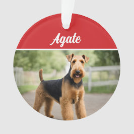 Schattigee Airedale Terrier Hond Vakantie Kerstfot Ornament