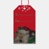 Schattigee akita in santa hoed slapende kersthond cadeaulabel (Achterkant)