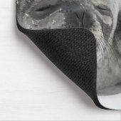 Schattigee Alaska Baby Seal en Mom Muismat (Hoek)