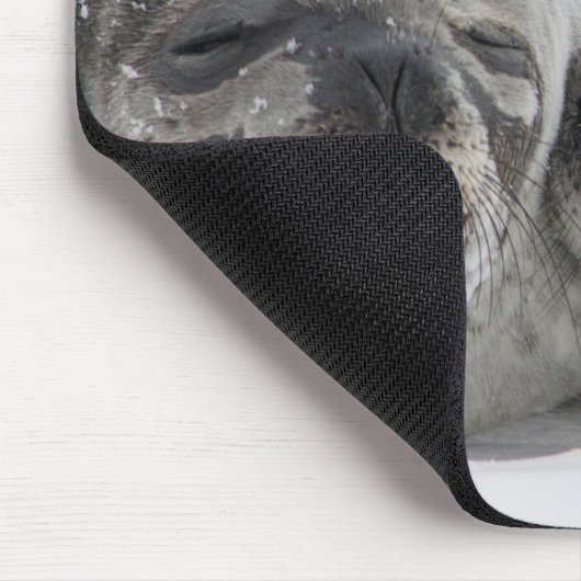 Schattigee Alaska Baby Seal en Mom Muismat (Hoek)