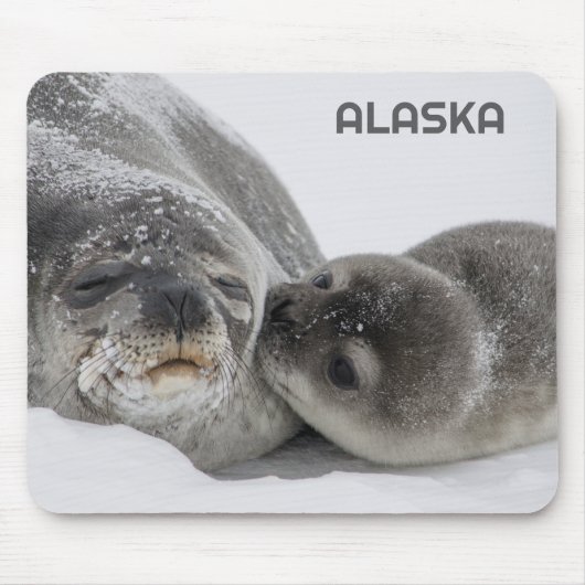 Schattigee Alaska Baby Seal en Mom Muismat (Voorkant)