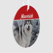 Schattigee Alaskan Malamute Dog Vakantie Kerstfoto Ornament (voorkant)