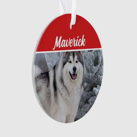 Schattigee Alaskan Malamute Dog Vakantie Kerstfoto Ornament (voorkant)