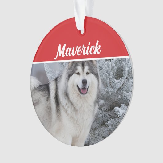 Schattigee Alaskan Malamute Dog Vakantie Kerstfoto Ornament (voorkant)