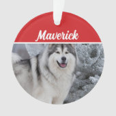 Schattigee Alaskan Malamute Dog Vakantie Kerstfoto Ornament (voorkant)