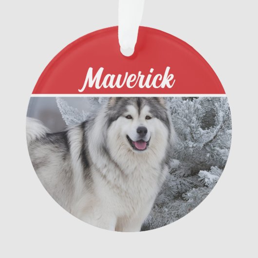 Schattigee Alaskan Malamute Dog Vakantie Kerstfoto Ornament (voorkant)