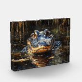 Schattigee alligator in het schilderij Florida Eve Fotoblokken (Links)