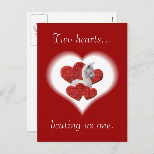 Schattigee Alpaca Baby Valentijnsdag Briefkaarten (Voorkant / Achterkant)