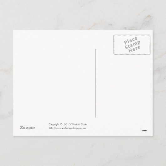 Schattigee Alpaca Baby Valentijnsdag Briefkaarten (Achterkant)