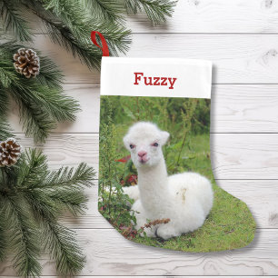 Schattigee Alpaca Lover Pet Foto en Naam Gepersona Kleine Kerstsok