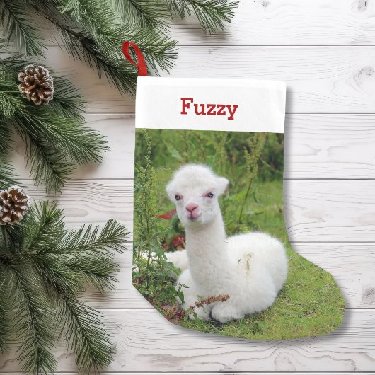 Schattigee Alpaca Lover Pet Foto en Naam Gepersona Kleine Kerstsok