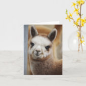 Schattigee Alpaca Note Kaart (Gele Bloem)