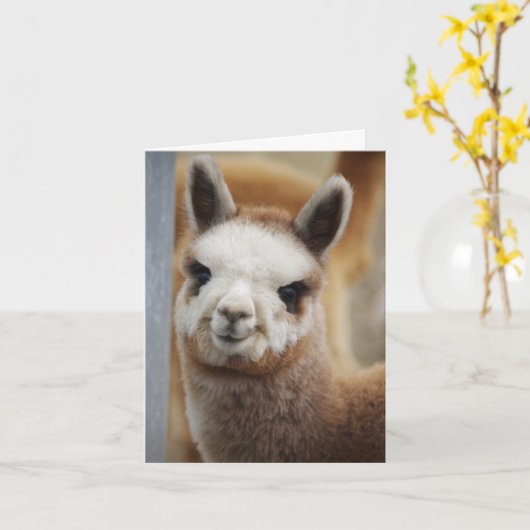 Schattigee Alpaca Note Kaart (Gele Bloem)