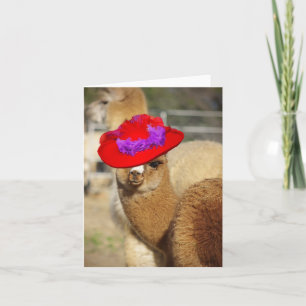 Schattigee Alpaca Note-kaarten Kaart