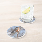 Schattigee Amerikaanse Robin zit op Snowy Branch i Zandsteen Onderzetter (Zijkant)