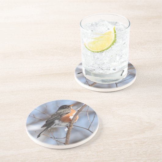 Schattigee Amerikaanse Robin zit op Snowy Branch i Zandsteen Onderzetter (Zijkant)