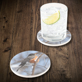 Schattigee Amerikaanse Robin zit op Snowy Branch i Zandsteen Onderzetter