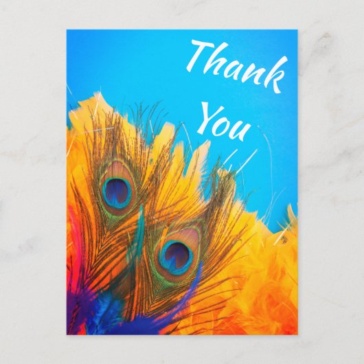 Schattigee Aqua Blue Elegant Peacock Feather Briefkaart (Voorkant)