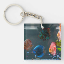 Schattigee aquarium thema vistank sleutelhanger