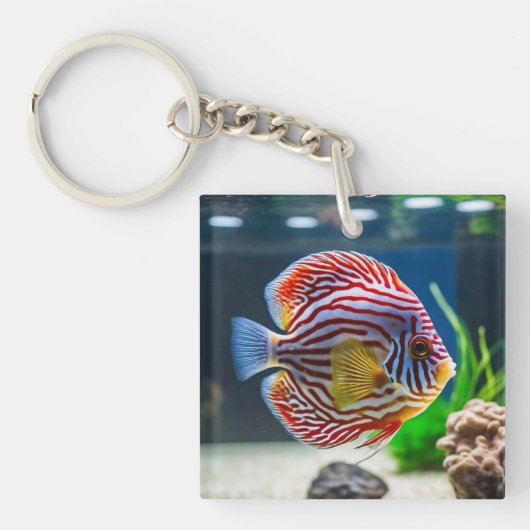 Schattigee aquariumvistank sleutelhanger (Voorkant)